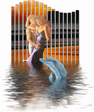 .....................?